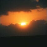track-artwork